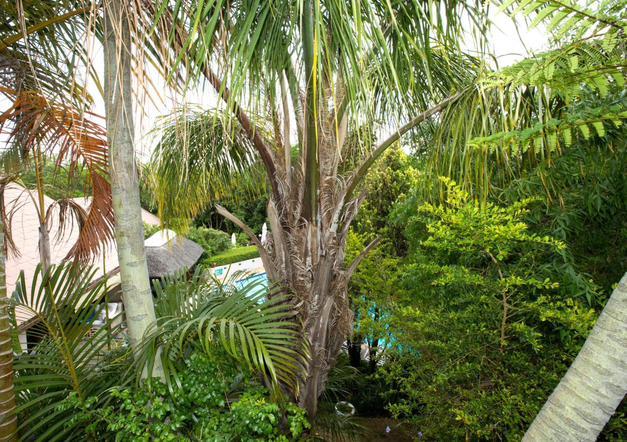 Hazelwood House Hotel Stellenbosch Bagian luar foto